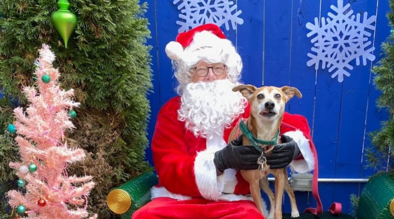 Pet Photos with Santa at Happy Valley Arcade Bar, Beacon